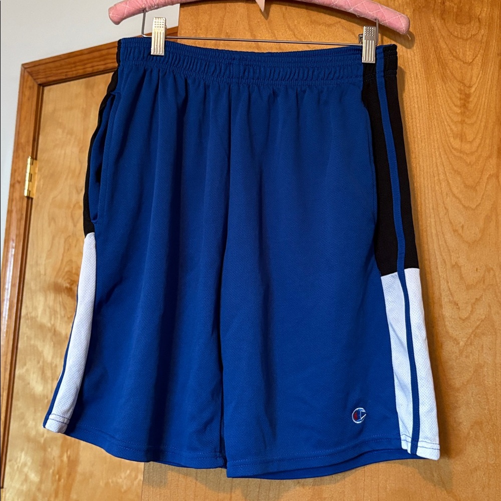 Champion Men's Royal Blue and White Athletic Shorts